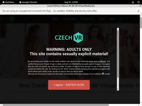 Czechvr Password Username
